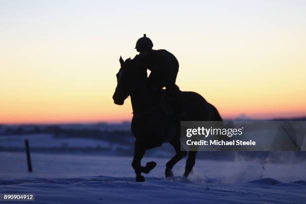 Racehorse and rider from the Nigel Twiston-Davies stables during first lot on the polytrack gallops in heavy snow conditions on December 12, 2017 in...