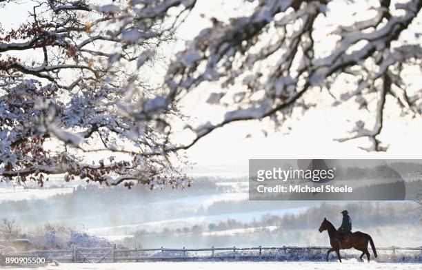 Lone rider and horse heads out towards the polytrack gallops in heavy snow at the yard of national hunt trainer Nigel Twiston-Davies on December 12,...