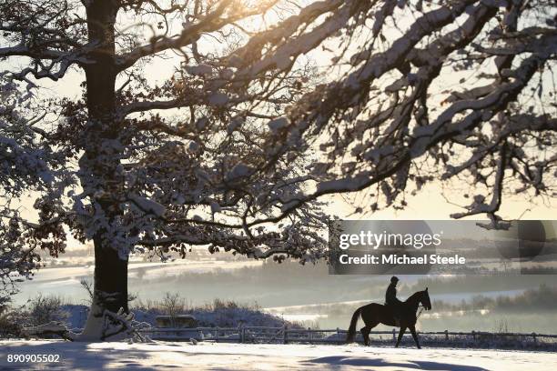 Lone rider and horse heads out towards the polytrack gallops in heavy snow at the yard of national hunt trainer Nigel Twiston-Davies on December 12,...