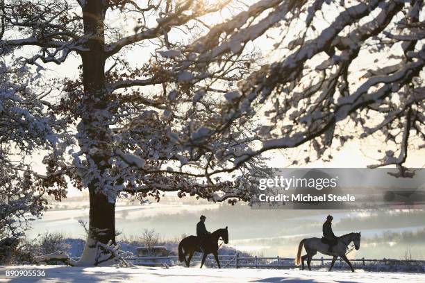 Racehorses head out towards the polytrack gallops in heavy snow at the yard of national hunt trainer Nigel Twiston-Davies on December 12, 2017 in...