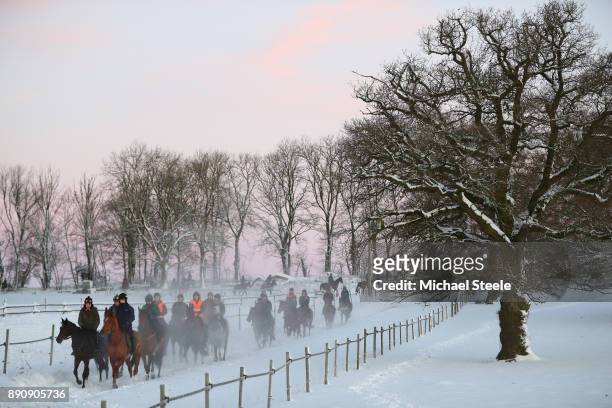 The first lot head down the polytack gallop in heavy snow conditions at the yard of national hunt trainer Nigel Twiston-Davies on December 12, 2017...