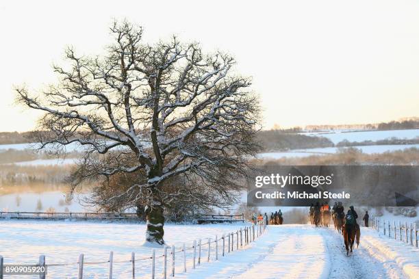 The third lot head down the polytack gallops in heavy snow conditions at the yard of national hunt trainer Nigel Twiston-Davies on December 12, 2017...