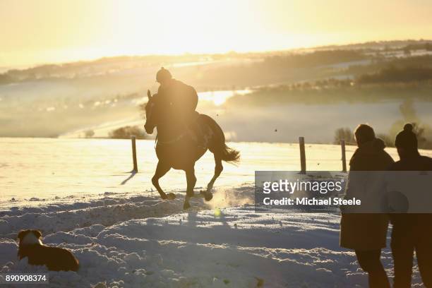 National hunt trainer Nigel Twiston-Davies and assistant Carl Llewellyn look on alogside dog Stan during morning gallops in heavy snow on December...