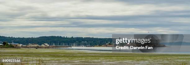 city of blaine, washington - dessa blaine - fotografias e filmes do acervo