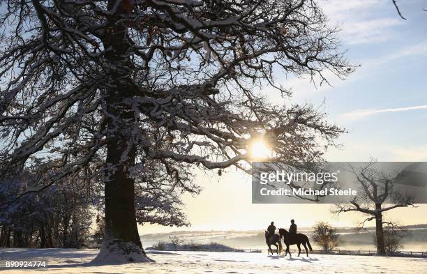 Racehorses head out towards the polytrack gallops in heavy snow at the yard of national hunt trainer Nigel Twiston-Davies on December 12, 2017 in...