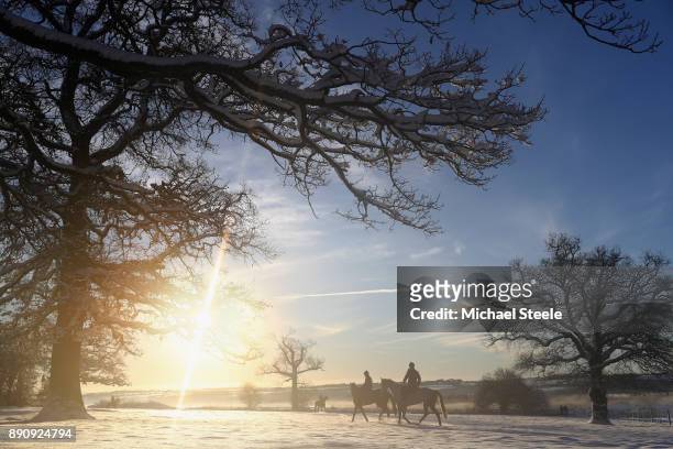 Racehorses head out towards the polytrack gallops in heavy snow at the yard of national hunt trainer Nigel Twiston-Davies on December 12, 2017 in...