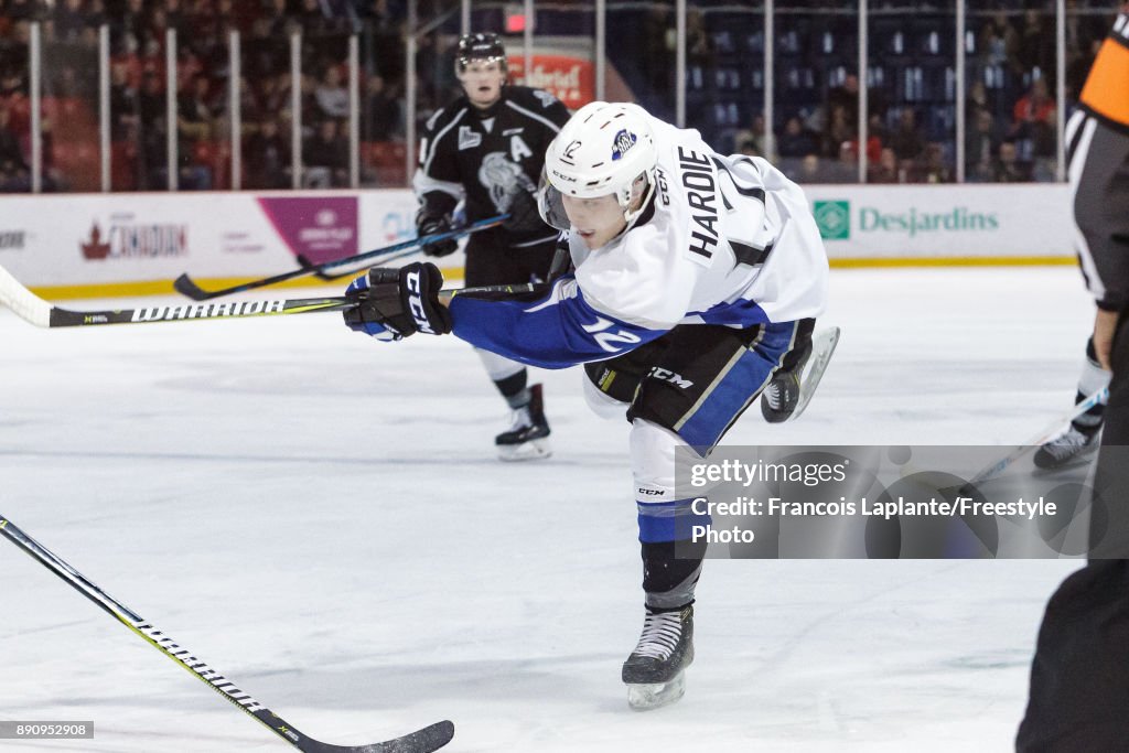 Saint John Sea Dogs v Gatineau Olympiques