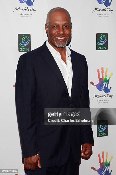 Actor James Pickens Jr. Attends the Mandela Day: A 46664 Celebration Concert at Radio City Music Hall on July 18, 2009 in New York City.