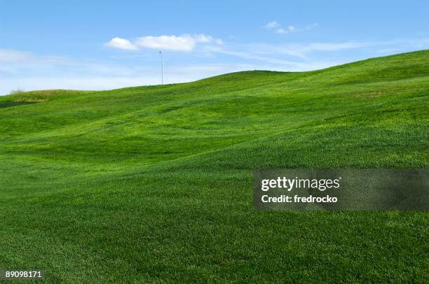 rolling hills of green grass on lawn - green golf course stockfoto's en -beelden