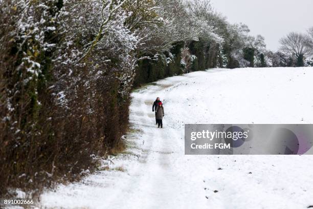 snowy zu fuß - hertfordshire stock-fotos und bilder