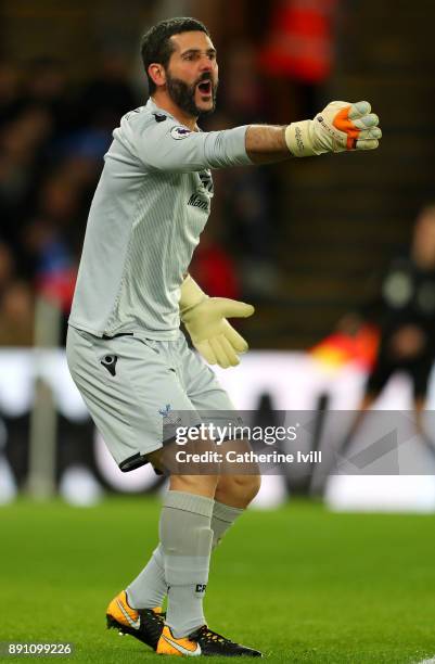 Julian Speroni of Crystal Palace gives his team instructions during the Premier League match between Crystal Palace and Watford at Selhurst Park on...