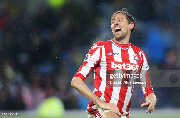 Peter Crouch of Stoke City reacts during the Premier League match between Burnley and Stoke City at Turf Moor on December 12, 2017 in Burnley,...