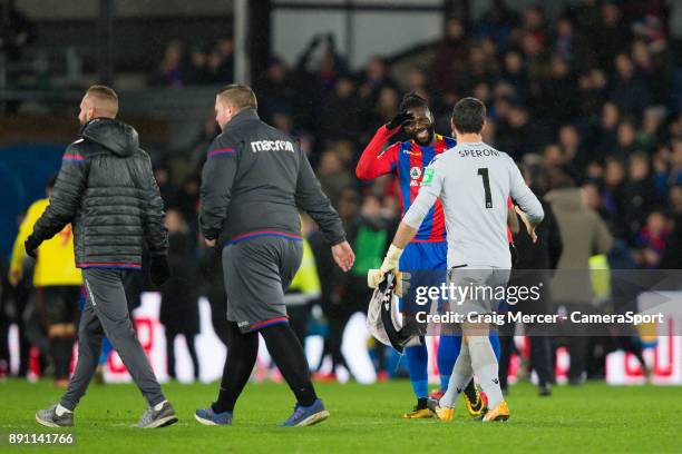 Crystal Palace's Bakary Sako celebrates with team mate Julian Speroni at full time during the Premier League match between Crystal Palace and Watford...