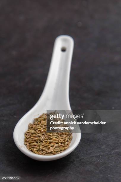 spoon of cumin seeds. - belgium india stock pictures, royalty-free photos & images