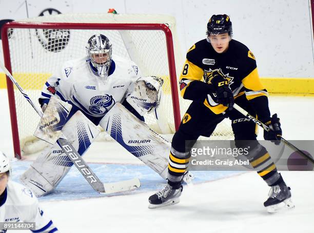 Matthew Strome of the Hamilton Bulldogs and goalie Jacob Ingham of the Mississauga Steelheads prepare for a shot during game action on December 10,...