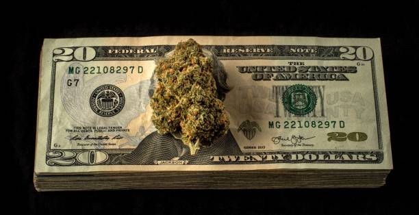 Stack Canadian $20 2,337 Canadian Currency 20 Stock Photos, High-Res Pictures, and Images ...