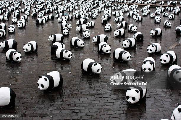 1600 pandas - panda mamífero de quatro patas - fotografias e filmes do acervo