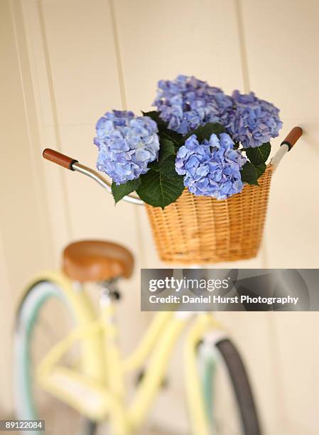 bicycle with flowers in basket - lincoln city oregon stock pictures, royalty-free photos & images
