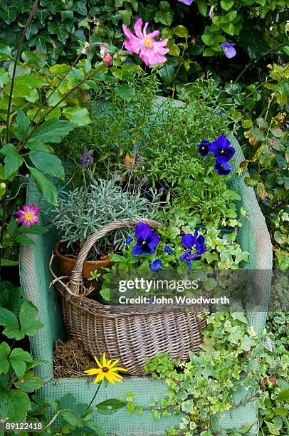 flower basket - stow on the wold stock pictures, royalty-free photos & images