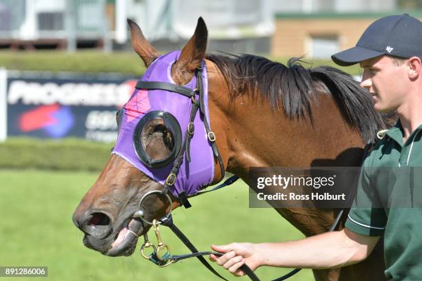 Raindrops On Roses after winning the Highview Accounting Mornington Hcp at Mornington Racecourse on December 13, 2017 in Mornington, Australia.