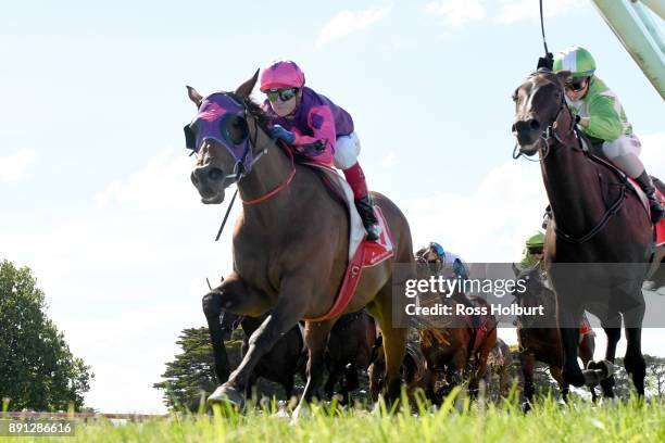 Raindrops On Roses ridden by Craig Williams wins the Highview Accounting Mornington Hcp at Mornington Racecourse on December 13, 2017 in Mornington,...