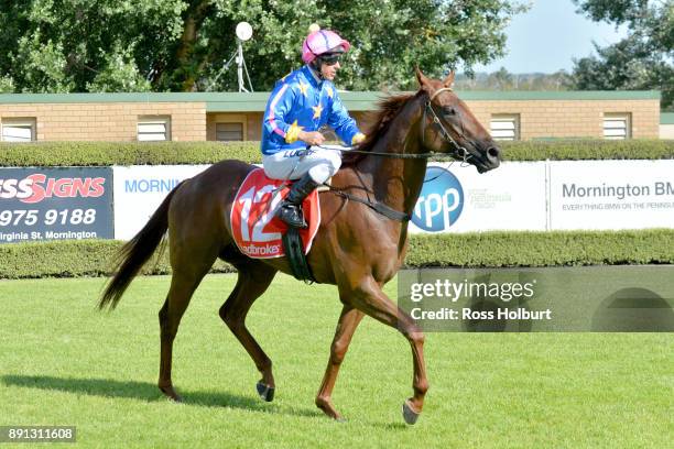 Ryan Maloney returns to the mounting yard on Toy Boy after winning the Frankston Suzuki Summer Of Racing Hcp at Mornington Racecourse on December 13,...