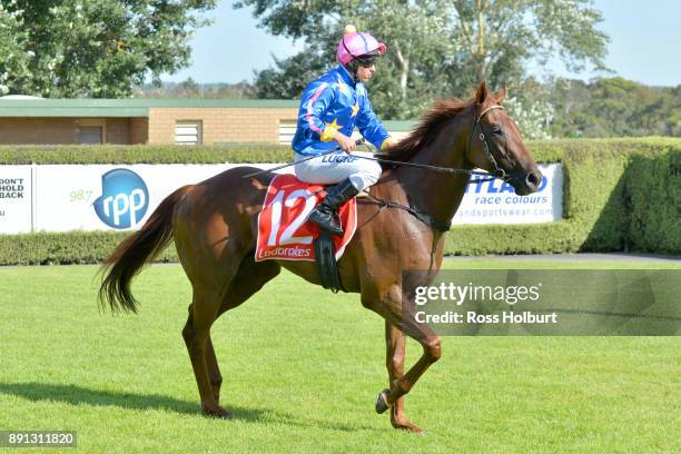 Ryan Maloney returns to the mounting yard on Toy Boy after winning the Frankston Suzuki Summer Of Racing Hcp at Mornington Racecourse on December 13,...