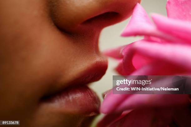 woman smelling a rose, kocyubinskoe, kiev, ukraine - sensory perception 個照片及圖片檔