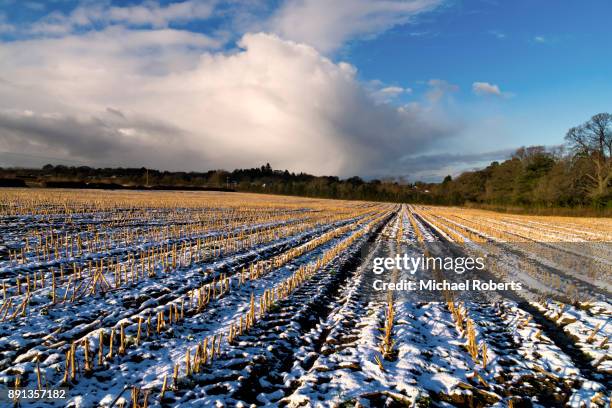 field of maize stubble in the snow with snow clouds beyond, in the wye valley area of outstanding natural beauty - stoppelfeld stock-fotos und bilder