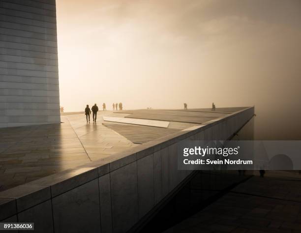 People in misty weather on a roof