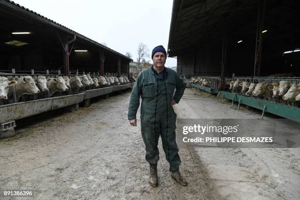 French farmer Didier Caverot, poses with his cattle in his farm in Senailly, eastern France, on December 5, 2017. The documentary "Oser" , produced...