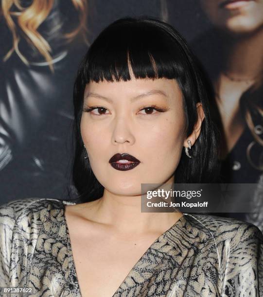 Actress Hana Mae Lee attends the Los Angeles Premiere "Pitch Perfect 3" at the Dolby Theatre on December 12, 2017 in Hollywood, California.