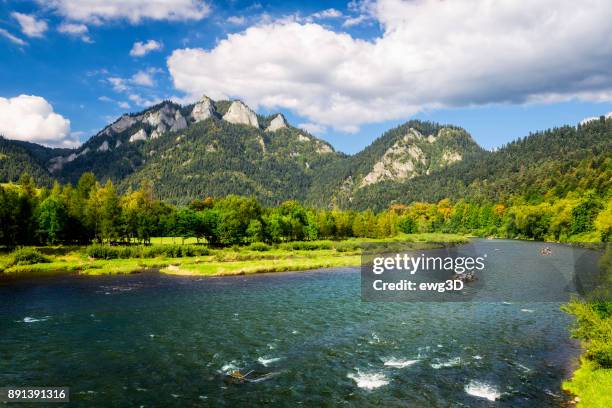 rafting at river dunajec, poland - ravine stock pictures, royalty-free photos & images