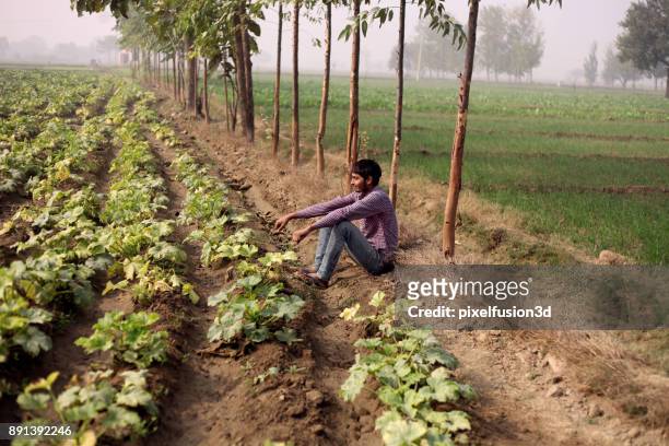 Farmer sitting in the vegetable field