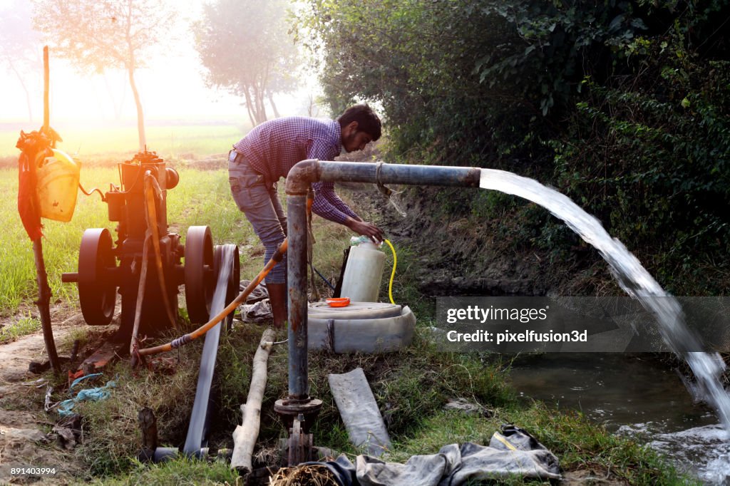 Agriculteur travaillant dans le champ