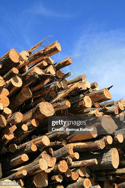 pile of logs - houtstapel stockfoto's en -beelden