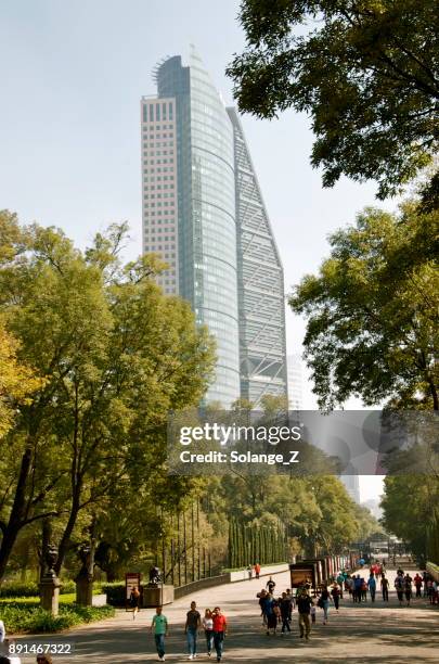 city view from chapultepec park in mexico city mexico - museo nacional de antropologia stock pictures, royalty-free photos & images