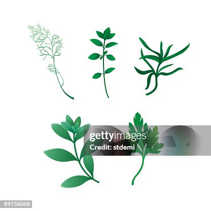 Herbs Herbs