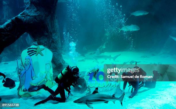 Two divers are riding Eco-Vidrio solidary Christmas nativity figures in the aquarium at the zoo in Madrid on December 13, 2017 in Madrid, Spain.