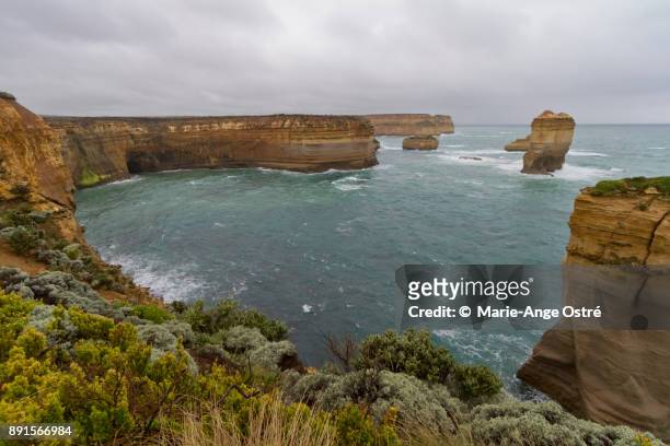 australia, great ocean road - marie ange ostré photos et images de collection
