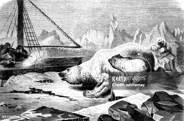 polar bears attacking an ice-bound ship in the arctic - stuck in the past stock illustrations