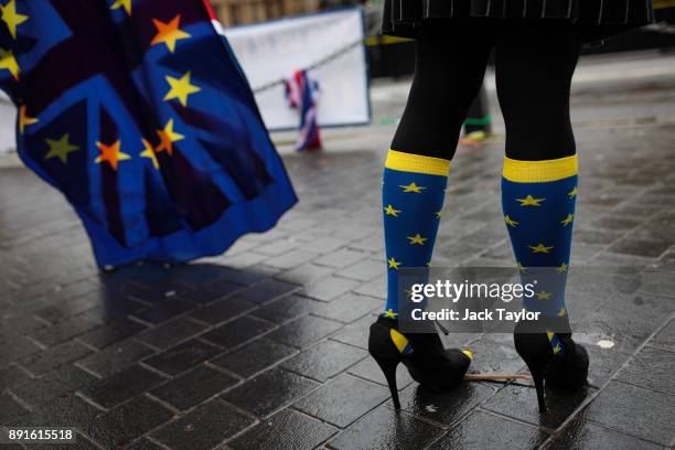 Anti-brexit demonstrators gather with European Union flags outside the Houses of Parliament on December 13, 2017 in London, England. MPs are debating...