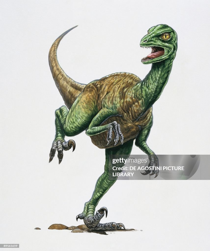 Close-up of a troodon dinosaur (Troodon formosus)