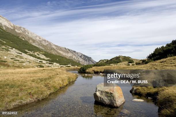 Bulgaria, Pirin Mountains, Pirin National Park, stream with large stone