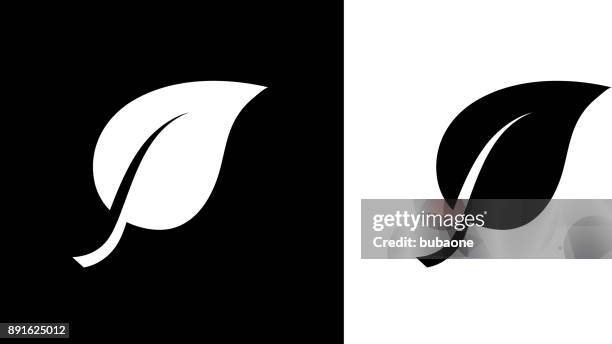 One. Leave Vector One Leaf High-Res Vector Graphic - Getty Images
