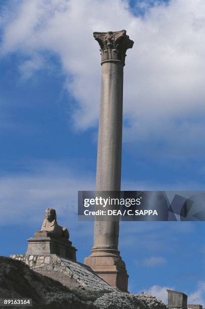 Egypt - Alexandria. Ptolemaic Serapeum. Pompey's Pillar and granite sphinx