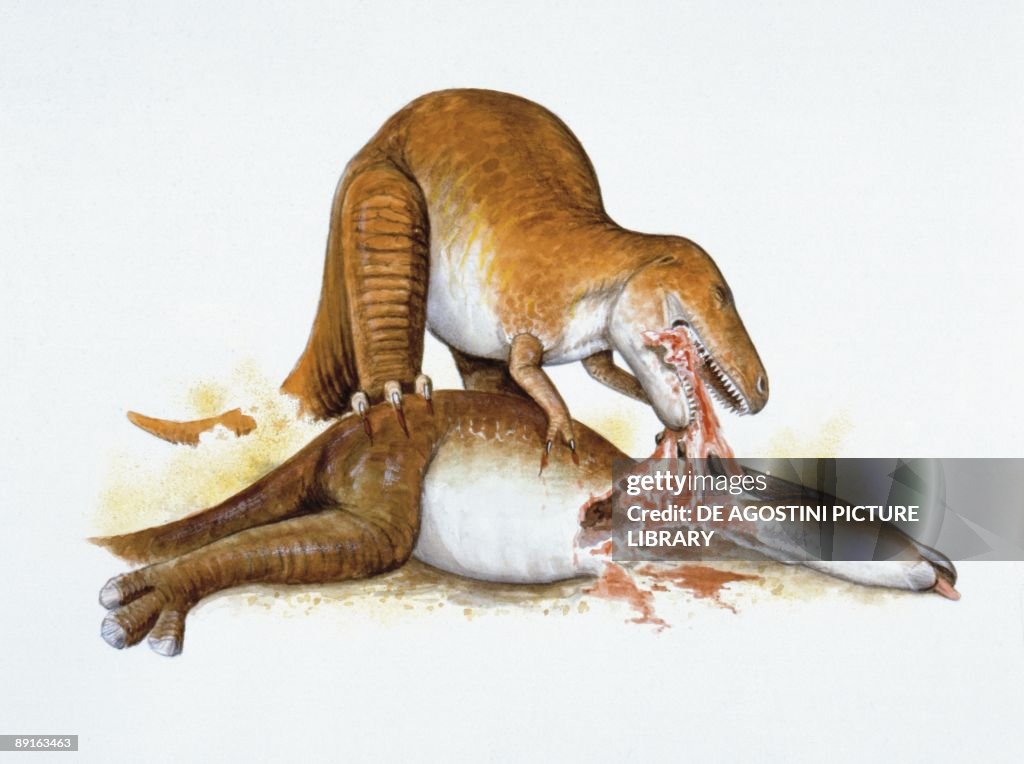 Illustration of Albertosaurus devouring Parasaurolophus