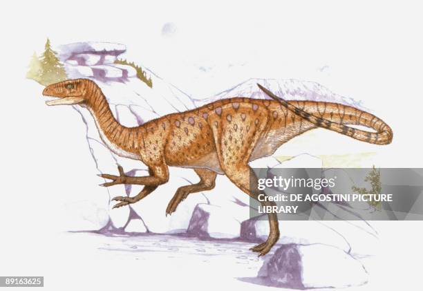 Coelurus Deviantart Coelurus Photos and Premium High Res Pictures - Getty Images