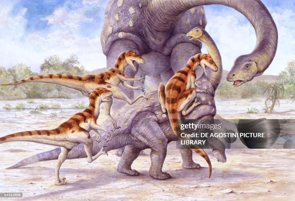 Illustration of three Noasaurus dinosaurs attacking young Saltasaurus