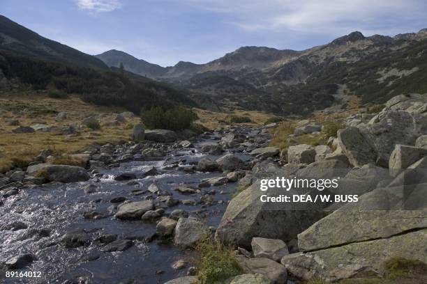 Bulgaria, Pirin Mountains, Pirin National Park, mountain stream